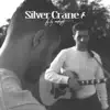 Silver Crane (The Acoustic Demos) [Acoustic Demo] - Single album lyrics, reviews, download