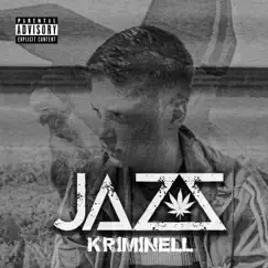 Kriminell - Single by Jazz album reviews, ratings, credits