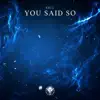 You Said So - Single album lyrics, reviews, download