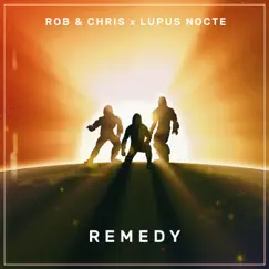 Remedy (Extended Mix) Song Lyrics