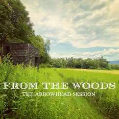 The Arrowhead Session - EP by From the Woods album reviews, ratings, credits