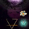 Twighlight Flowers - Single album lyrics, reviews, download