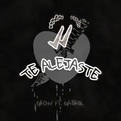 Te Alejaste (feat. GABRI3L) Song Lyrics