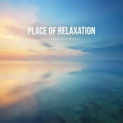 Place of Relaxation by AShamaluevMusic album reviews, ratings, credits