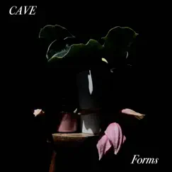 Forms - Single by Cave album reviews, ratings, credits