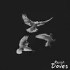 Doves (Intro) - Single album lyrics, reviews, download