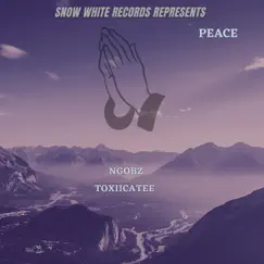 Peace (feat. Toxicatee) Song Lyrics