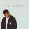 Te fuiste - Single album lyrics, reviews, download