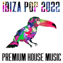Ibiza Pop 2022 - Premium House Music by Various Artists album reviews, ratings, credits