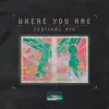 Where You Are (feat. outgroup & Allie Marzie) [Festival Mix] - Single album lyrics, reviews, download