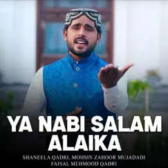 Sarkar Dy Dar Walley Rehndi Ay Nazar Meri Song Lyrics