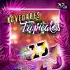 Novedades Tropicales #13 - Single album lyrics, reviews, download