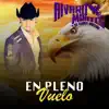 En Pleno Vuelo album lyrics, reviews, download