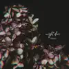 night dive - EP album lyrics, reviews, download