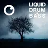 Liquid Drum & Bass Sessions #60 album lyrics, reviews, download