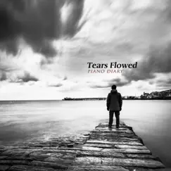 Tears Flowed - Single by Piano Diary album reviews, ratings, credits