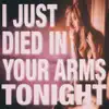 Died in Your Arms Tonight - Single album lyrics, reviews, download