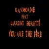You're The Fire (feat. Laurent Beretti) - Single album lyrics, reviews, download