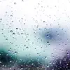 Rain Fall on a Roof to Help Put You to Sleep - Single album lyrics, reviews, download