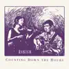 Counting Down the Hours (feat. Seamus Egan & Dan Klingsberg) - Single album lyrics, reviews, download