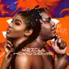 Mezcla Homogénea (Single) album lyrics, reviews, download