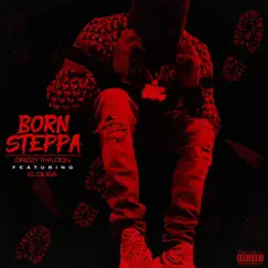 Born Steppa (feat. FL DUSA) [Radio Edit] [Radio Edit] - Single by Drizzy Thadon album reviews, ratings, credits