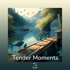 Let the Nature sing you a lullaby - EP by Tender Moments album reviews, ratings, credits