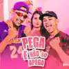 Pega e Não Se Apega song lyrics