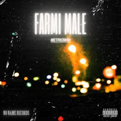 FARMI MALE (feat. Young 17 & Yb Wasg'ood) Song Lyrics