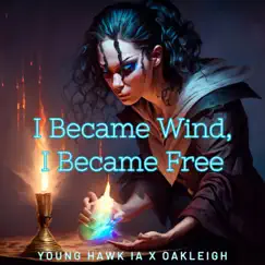 I Became Wind, I Became Free - Single by Young Hawk IA album reviews, ratings, credits