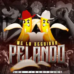 Me la Seguiran Pelando - Single by Los Pimenteles album reviews, ratings, credits