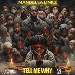 Tell Me Why - Single by Mandella Linkz album reviews, ratings, credits