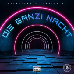 Die ganzi Nacht - Single by B!ZZY & Narek album reviews, ratings, credits