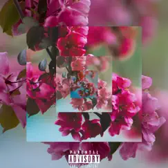 Don't worry bout the Flowers by Lil Meech.Ie album reviews, ratings, credits
