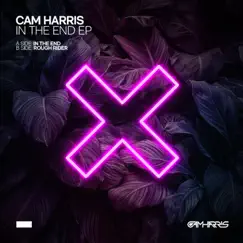 In the End, EP. by Cam Harris album reviews, ratings, credits