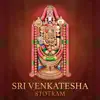Sri Venkatesha Stotram - Single album lyrics, reviews, download