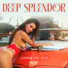Deep Splendor: Lounge Mix 2023, The Hottest Deep House Tracks, Chill House, Best Party Music, Electro Insane Beatz album lyrics, reviews, download
