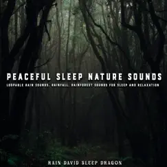 Forest Sounds Song Lyrics