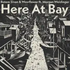 Here At Bay (feat. Morgan Weidinger) - Single by Rotem Sivan & wowflower album reviews, ratings, credits