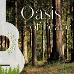 Oasis of Peace by Me And My Guitar, Soothing Relaxation Acoustic Guitar in Nature & Forest Guitar album reviews, ratings, credits