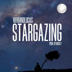 Stargazing - Single by NVRMNDLUCAS album reviews, ratings, credits