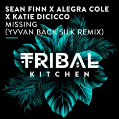 Missing (Yvvan Back Silk Remix) - Single by Sean Finn, Alegra Cole & Katie DiCicco album reviews, ratings, credits