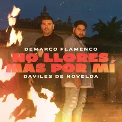 No llores más por mí - Single by Demarco Flamenco & Daviles de Novelda album reviews, ratings, credits