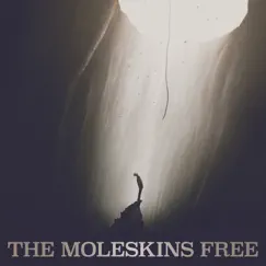 Free - Single by The Moleskins album reviews, ratings, credits