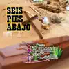 Seis Pies Abajo album lyrics, reviews, download