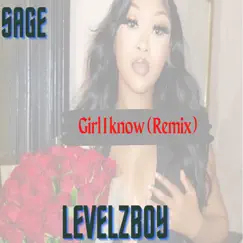 Girl I Know (Remix) [feat. Sage] - Single by Levelzboy album reviews, ratings, credits