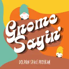 Gnome Sayin' by Dolphin Space Program album reviews, ratings, credits