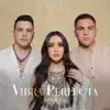 Vibra Perfecta - Single album lyrics, reviews, download