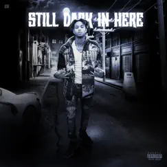 Still Dark In Here.... by Lil Ku Da Hothead album reviews, ratings, credits