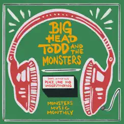 (What's so Funny 'bout) Peace Love and Understanding - Single by Big Head Todd & The Monsters album reviews, ratings, credits